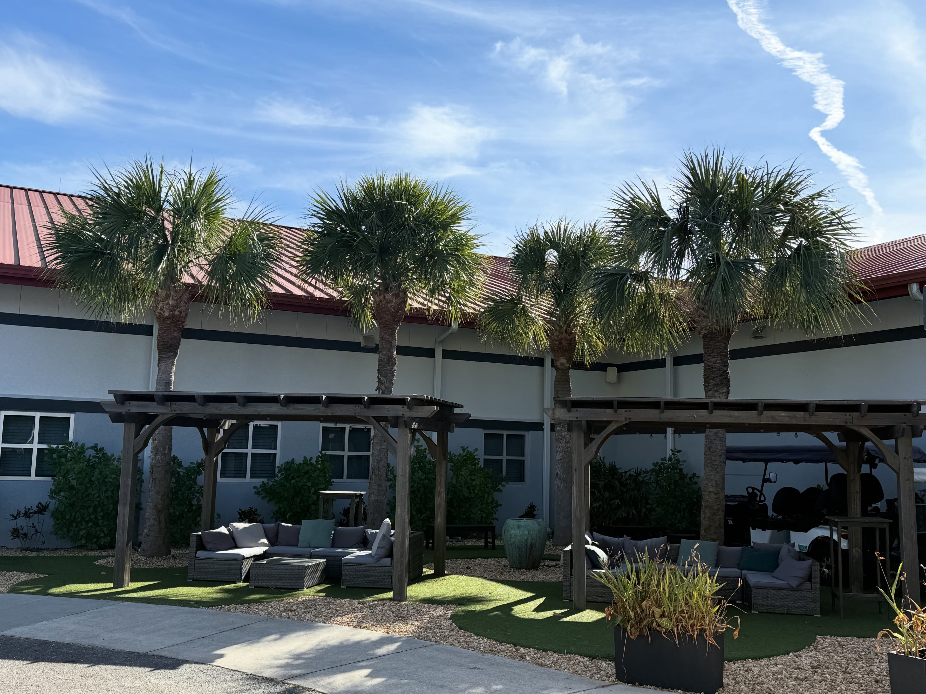 Palm tree trimming and maintenance service