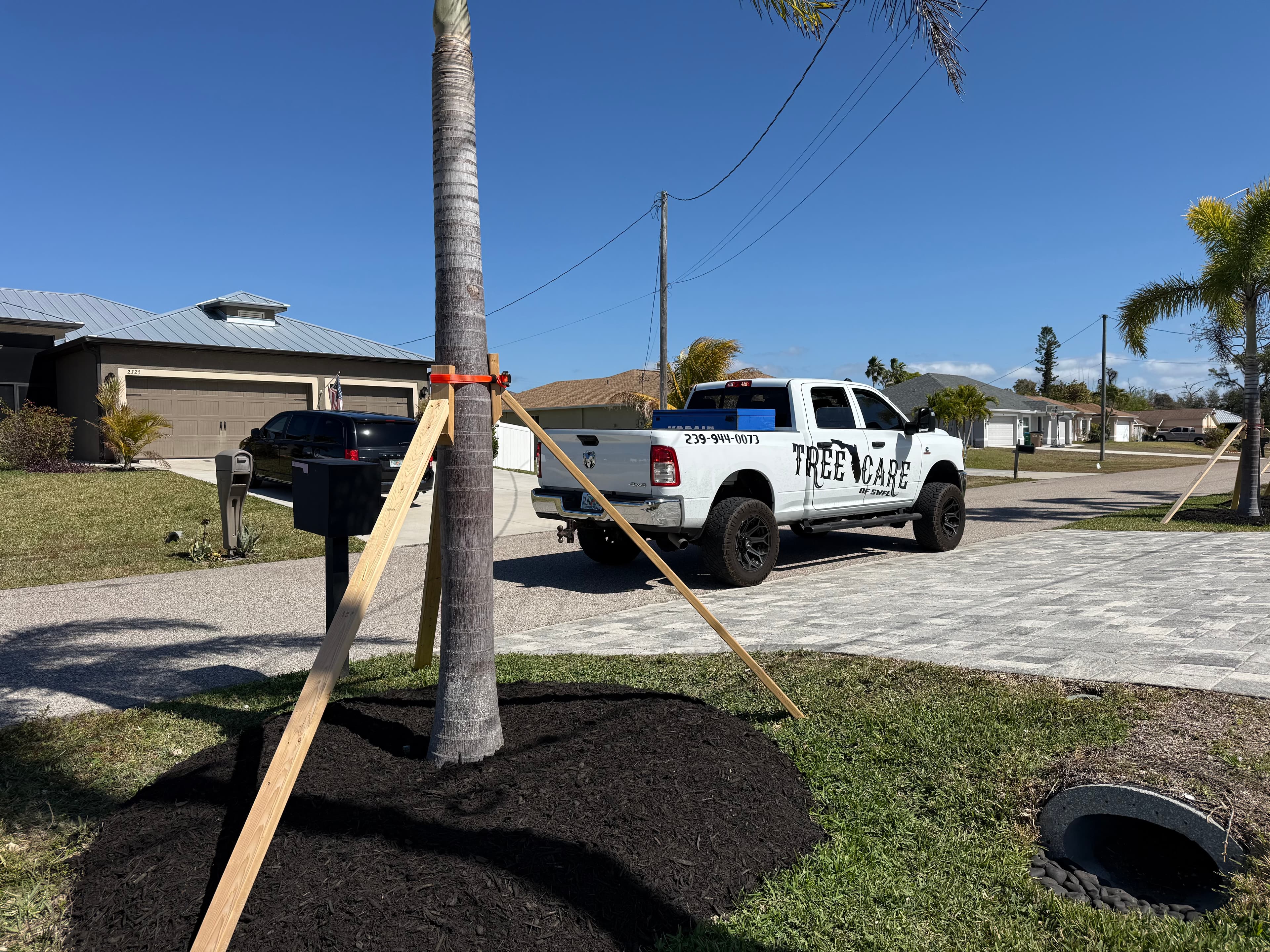 Commercial property tree care project