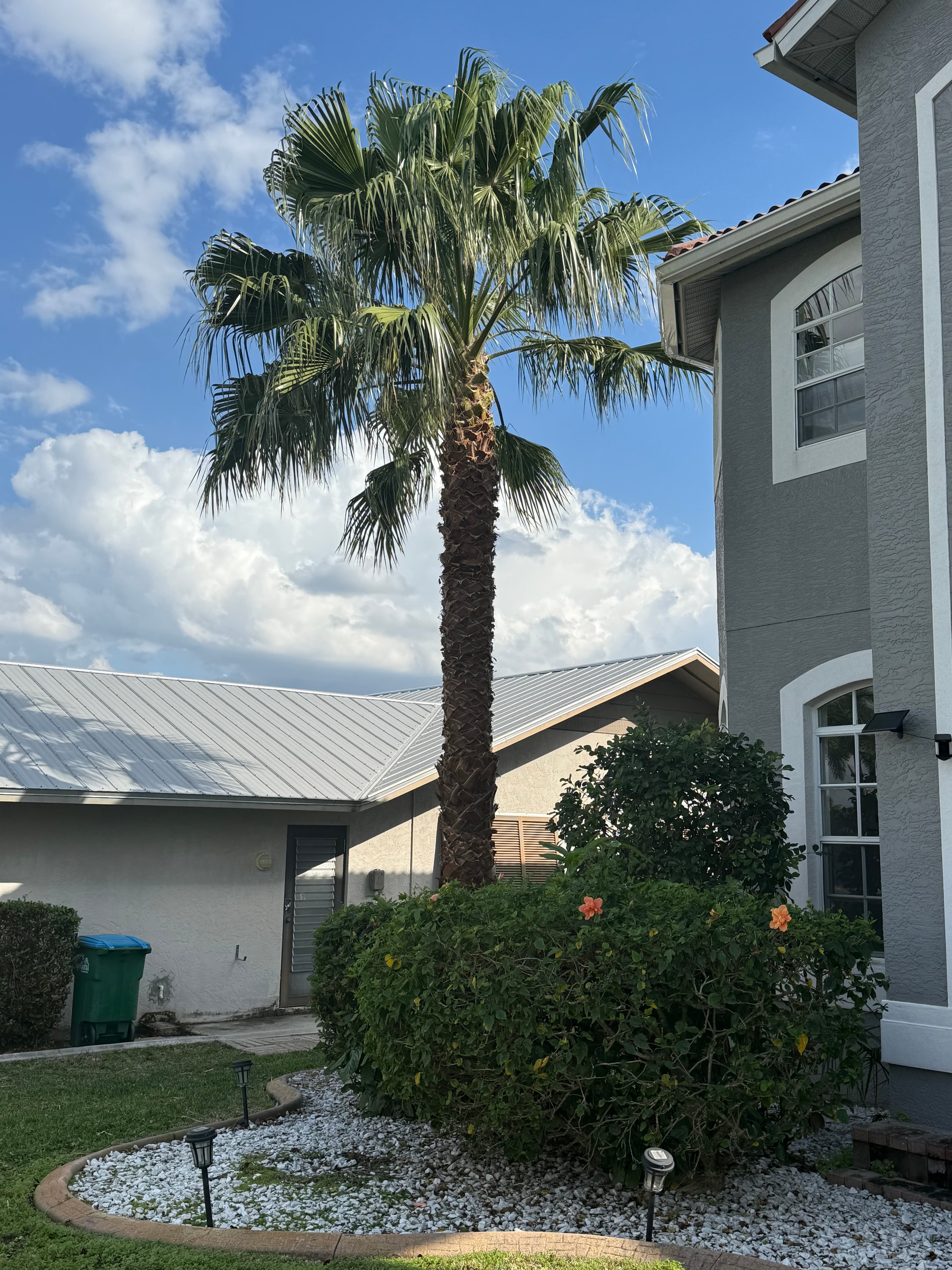 Precision tree pruning with climbing gear