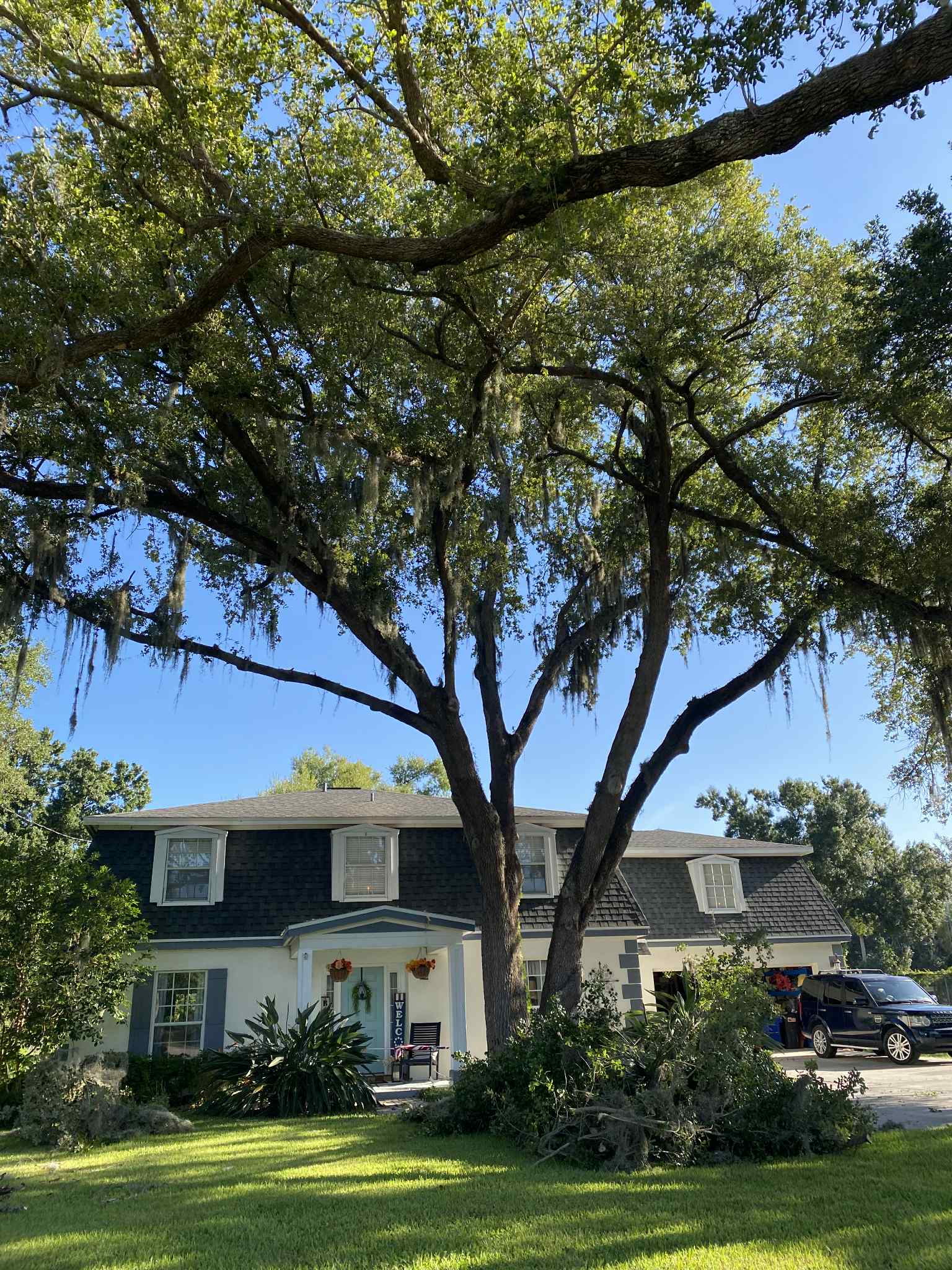 Completed landscape after tree removal